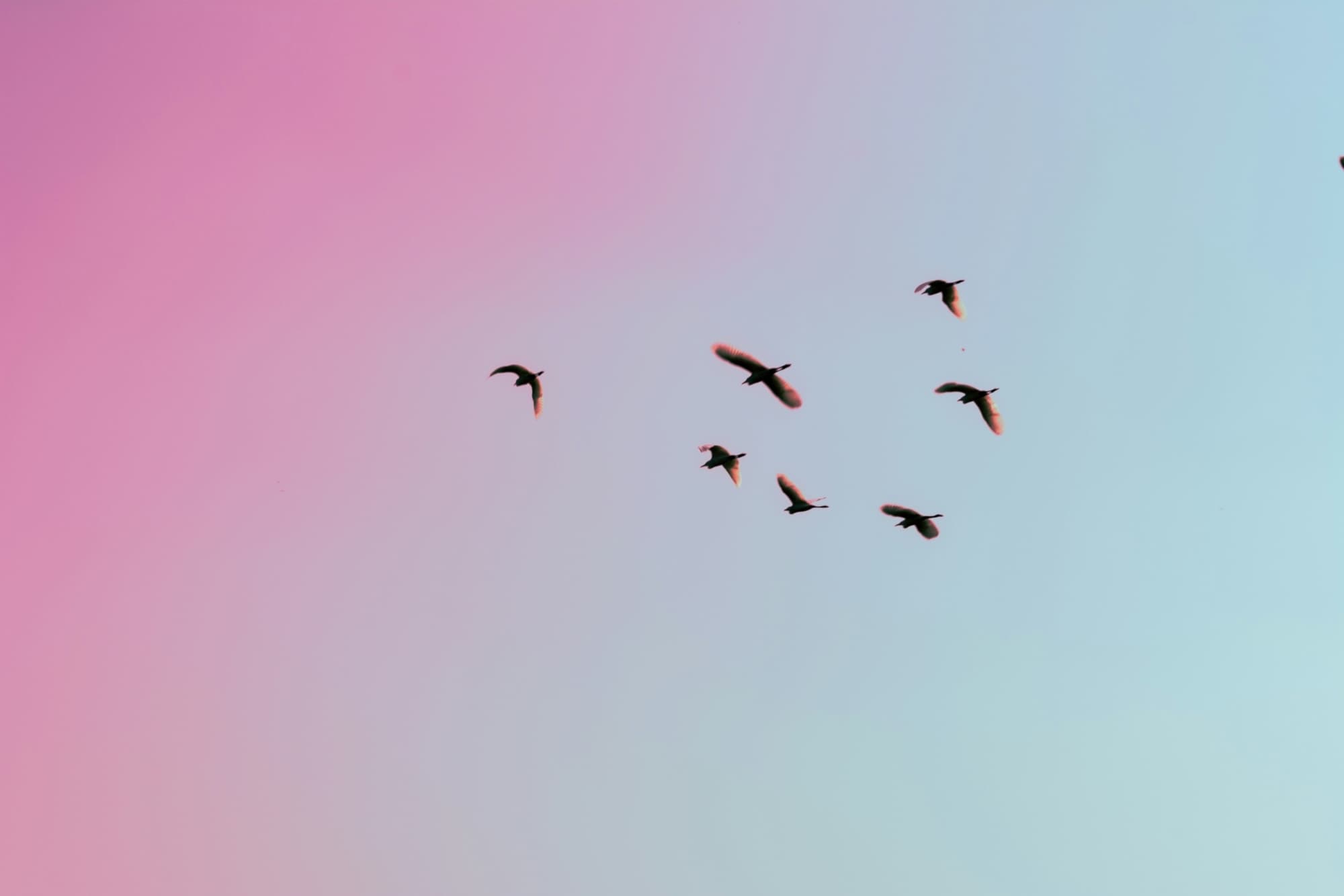 Gauravdeep singh bansal ca C13 DI De9 E unsplash